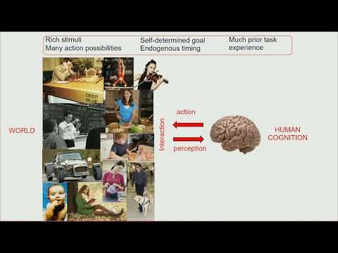 BrAIn seminar | Otto Lappi: Predictive Processing and Naturalistic Task Performance