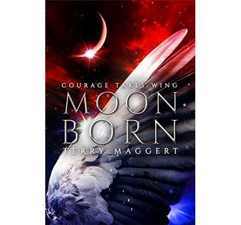 Author Terry Maggert Sits Down With Us Again