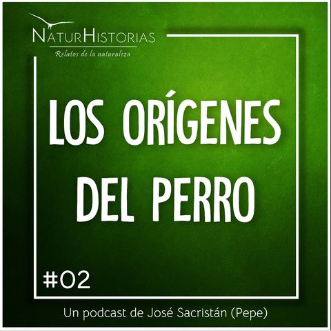 #02 - Los orígenes del perro - Naturhistorias. (04/2022)