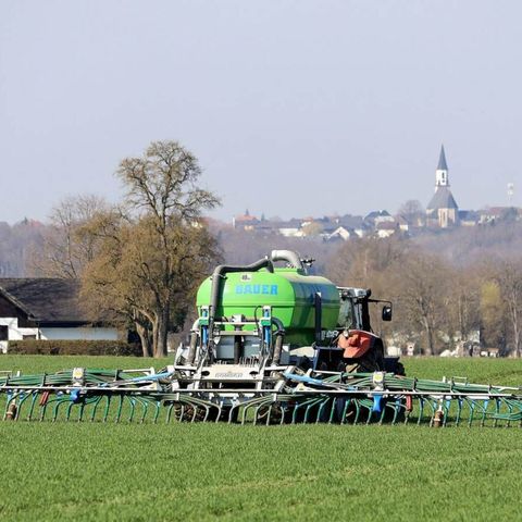 Korsholm & Larsen: Det ser sort ud for den grønne trepart