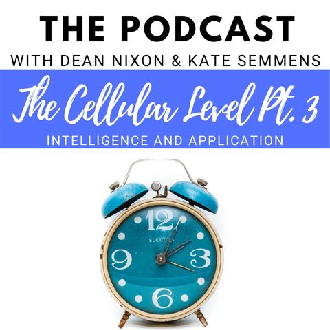 The Cellular Level Part 3: Intelligence and Application