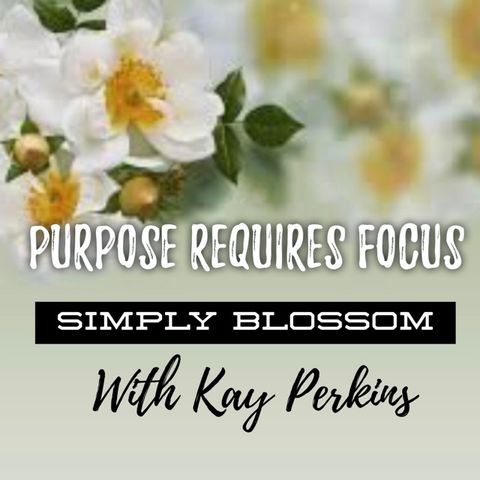 Episode 7 Purpose Requires Focus