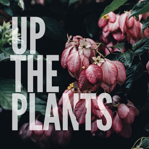 Up The Plants: episode 1- a lot about us