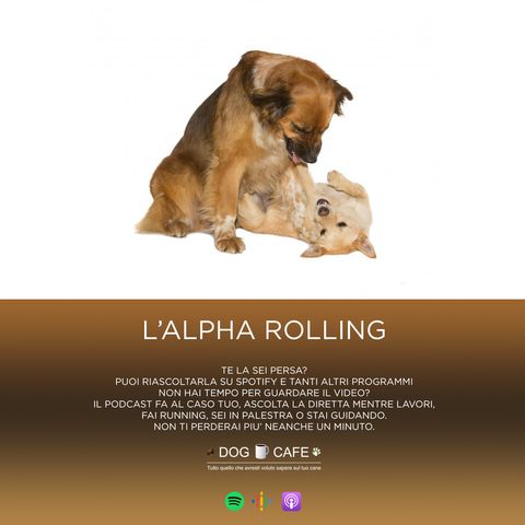 #013 - Alpha rolling (il rotolamento alpha)