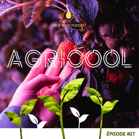 #27 Agricool