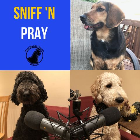 Best Of | Sniff 'N Pray: Living In The Moment - Matthew 6