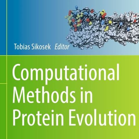 Computational Methods in Protein Evolution