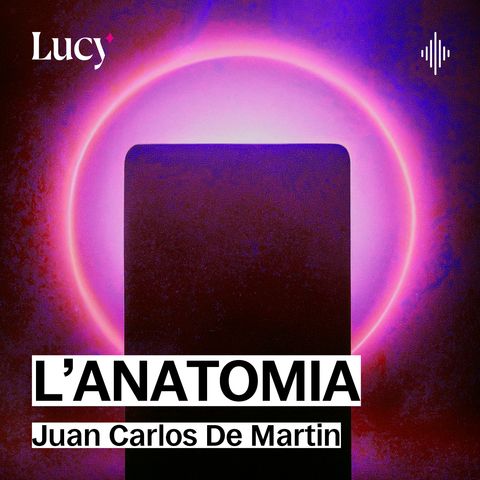 L'anatomia