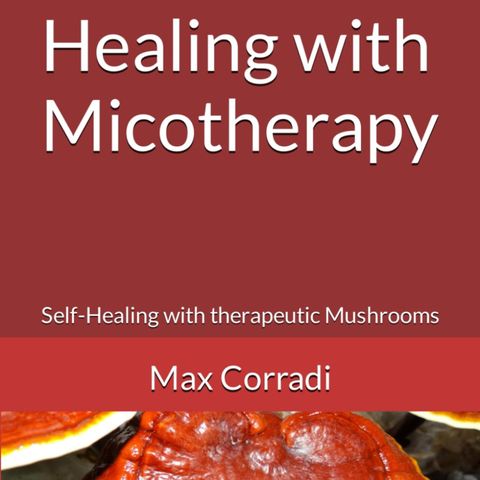 Micotherapy Series - Lentinula edodes (Shiitake)