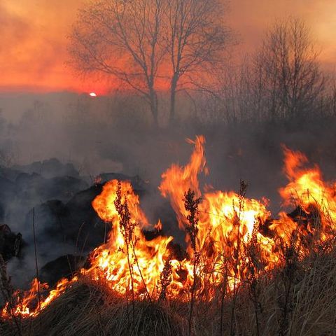 Violoni: «Crisi climatica? Un incendio in tutti i sensi»