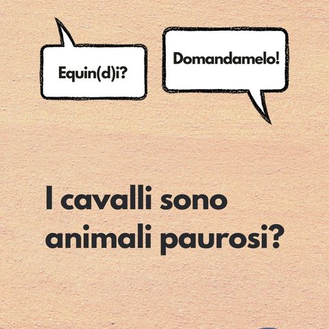 I cavalli sono animali paurosi?