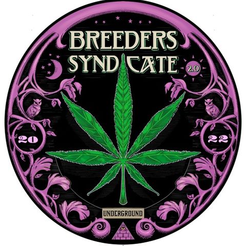 Breeders Syndicate 2.0 - Direwolf OG - Canadian Classics, Autoflowers, Haze & IPM S05 E13