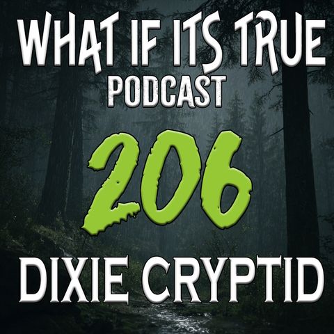 Archive 206 Bigfoot Encounters