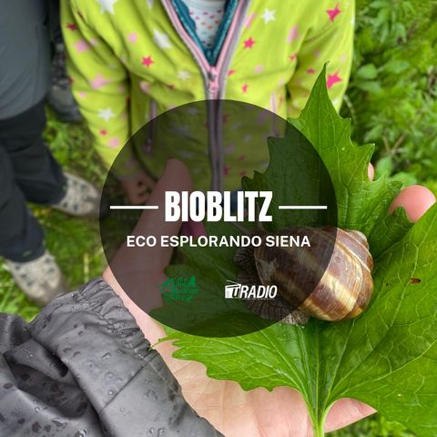 2 - BioBlitz: tra gli scorpioni fluorescenti