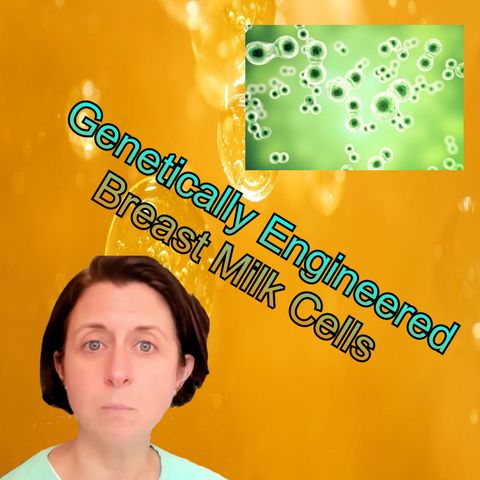 Dr. Kathryn Whitehead talks about genetically-engineered breast milk cells used for drug delivery