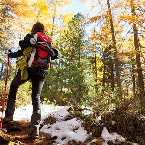 Turismo, Cazzola di Ogd Pedemontana : “Il trend è positivo, intrapresa la direzione giusta”