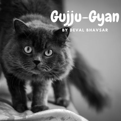 Gujju-Gyan Episode 2 : do you want to see my dream ?