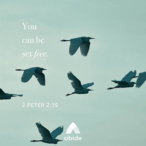 Freedom From Addiction