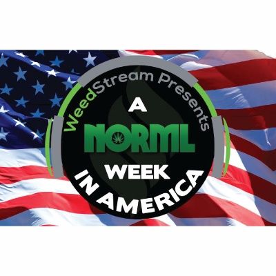 Interview W/ NORML Political Director Justin Strekal on the National Legalization Movement