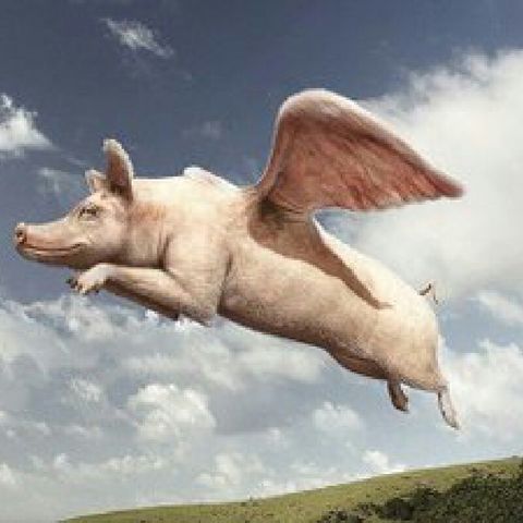 EPR:pigs Jump To Radio
