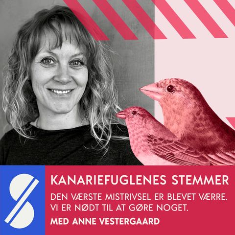 1. Den værste mistrivsel er blevet værre. Vi er nødt til at gøre noget. Med Anne Vestergaard.