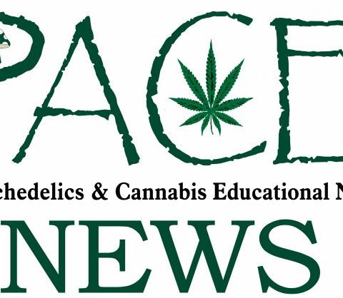 Psychedelics & Cannabis Educational News - February 26 2024
