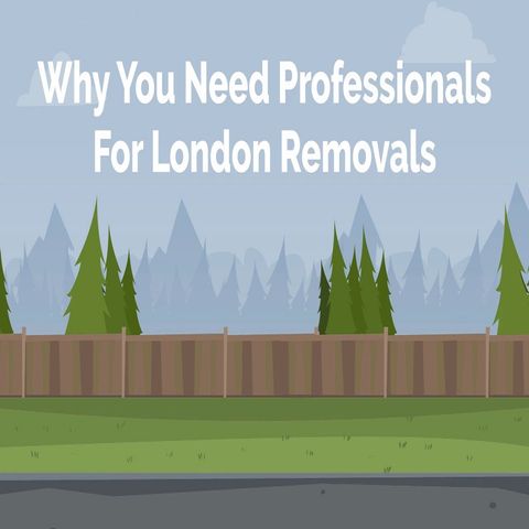 Why You Need Professionals For London Removals