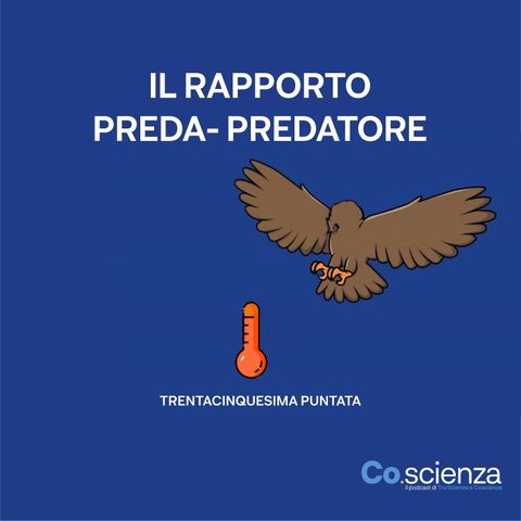 Il Rapporto Preda - Predatore (Trentacinquesima Puntata)
