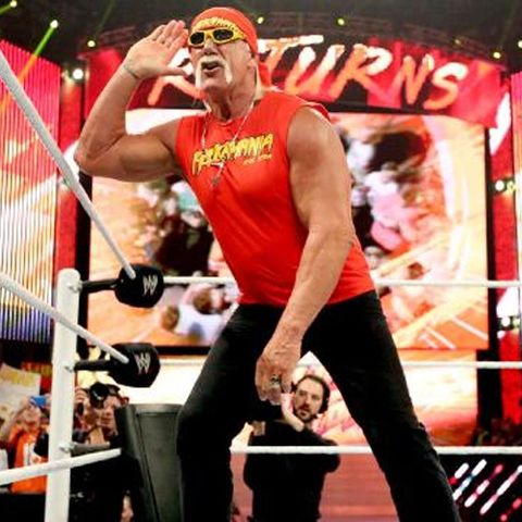 Wrestling Fans 013 "Never Say Never - Welcome back Hogan"