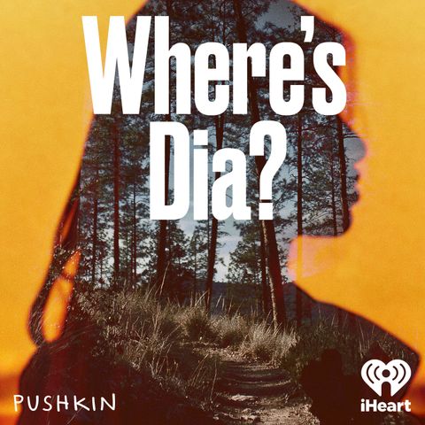 Introducing Where’s Dia?