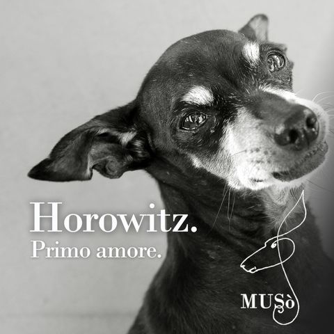 Horowitz. Primo amore.