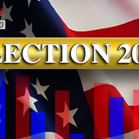Election night 2020 interview with Julie Harlin