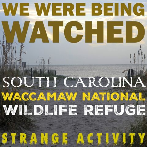 STRANGE ACTIVITY IN SOUTH CAROLINA (THE WACCAMAW RIVER) BIGFOOT NEAR MYRTLE BEACH