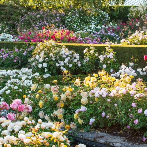 Copertina del podcast