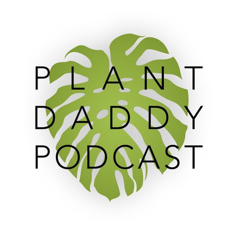 Episode 136: Welwitschia and the "Weird Houseplant" Experience