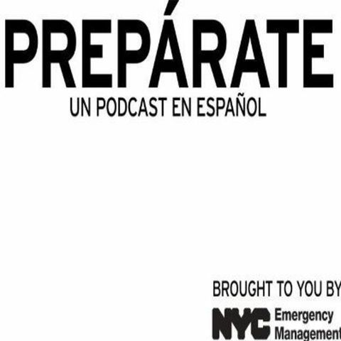 ¡Prepárate! Episodio 9: Se Destacan las Operaciones de Nieve en NYC