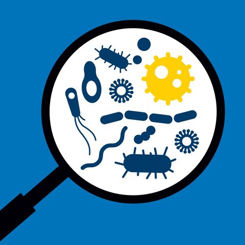 Disease Detectives: How to Track an Epidemic