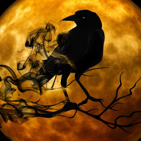 CROWS,CRYPT,CHAINS,WIND SFX HAUNT MIX