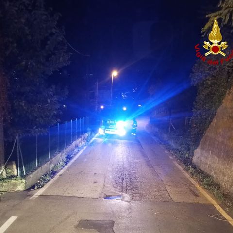 Alto Vicentino, alberi abbattuti o pericolanti per il vento forte durante la notte