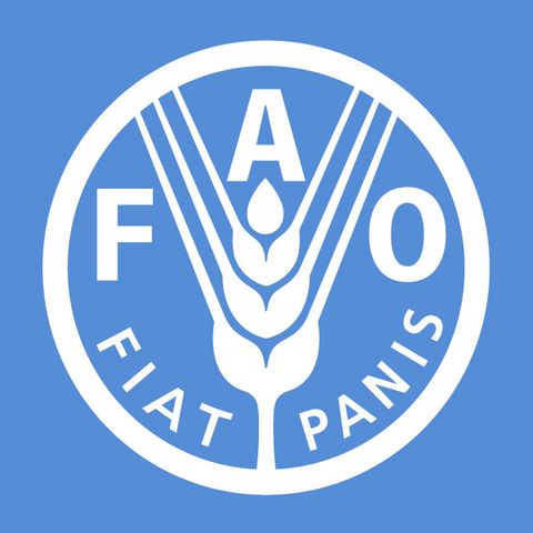Di cosa si occupa la FAO