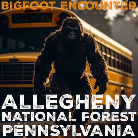 BIGFOOT ENCOUNTER IN THE ALLEGHENY NATIONAL FOREST (PENNSYLVANIA) CREATURE SEEN FROM THE SCHOOL BUS!