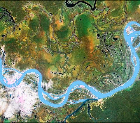 C’è il clima dietro alla siccità record nel Bacino dell'Amazzonia