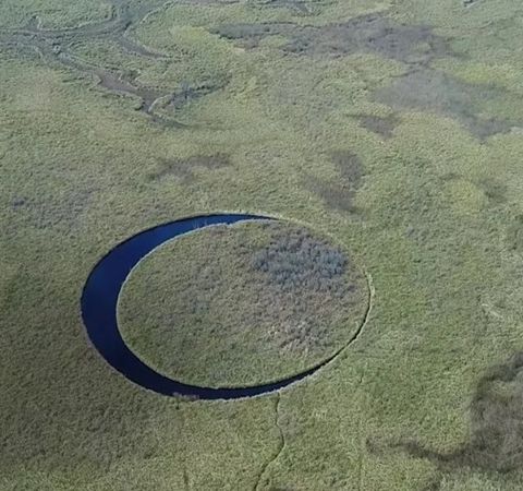 The Mysterious 'Eye' Island Floats Amidst Swamplands