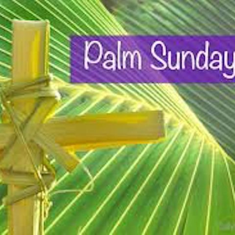 EP. 18-Palm Sunday Mass