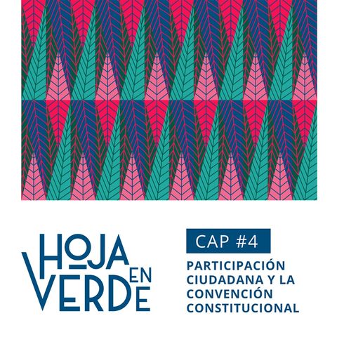 Capítulo 4: Participación Ciudadana y la Convención Constitucional