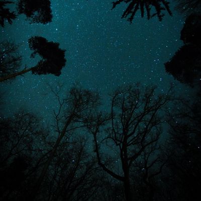 Night Soft Rain & Crickets 3 Hours