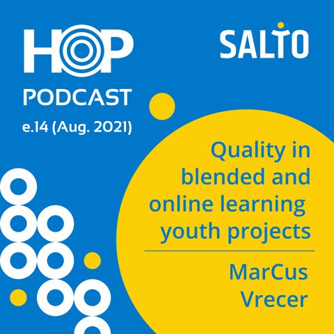 14: Quality in blended and online learning youth projects