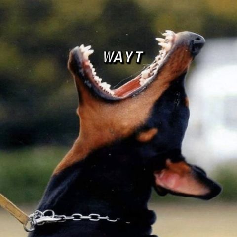 WAYT EP. 24
