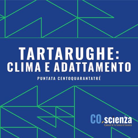 Tartarughe: clima e adattamento (Puntata Centoquarantatré)