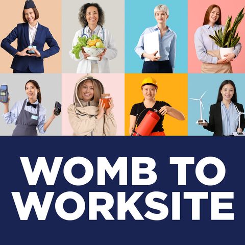 Womb to Workplace Toolkit Launch